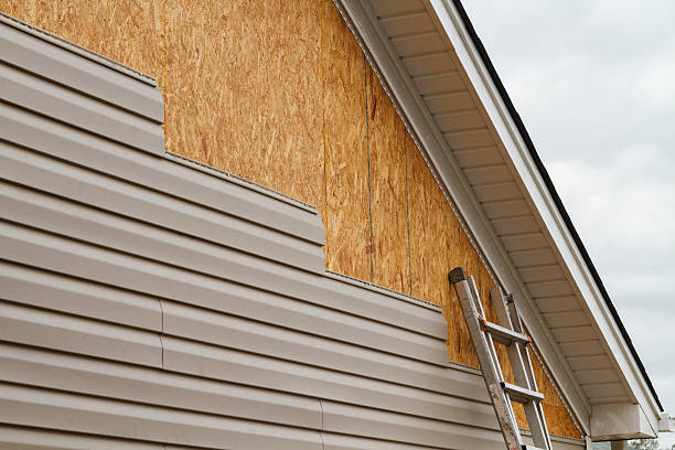 Best Steel Siding Installation  in USA